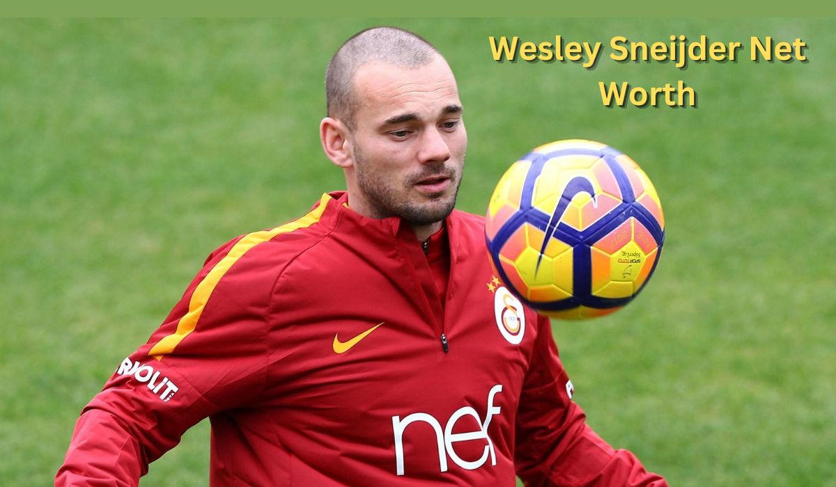 Wesley Sneijder Vermögen