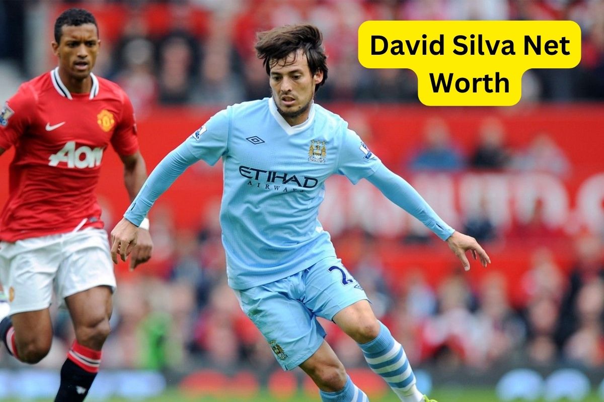 David Silva Vermögen David Silva Vermoegen 2024